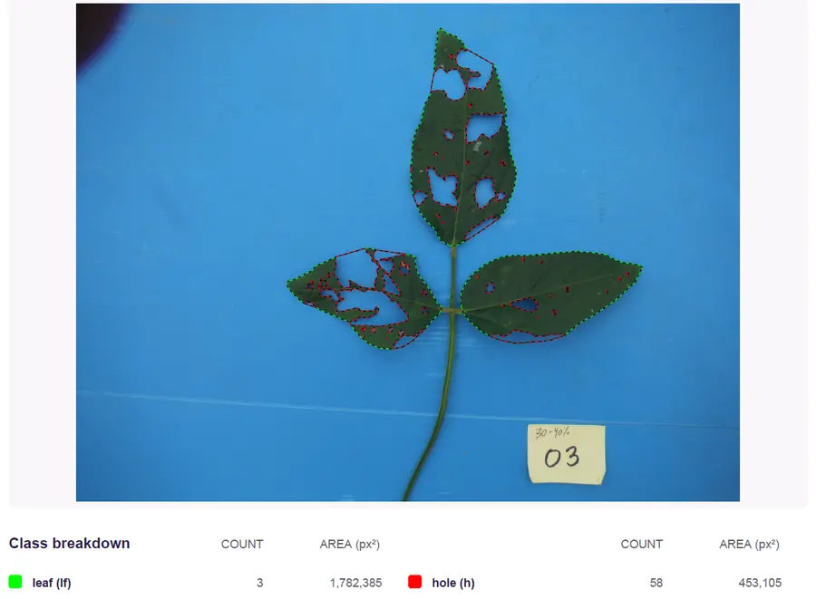 PDF report image showing three soybean leaflets outlined in green, with red outlines marking defoliated areas; the report lists leaf and missing-area counts and pixel areas.
